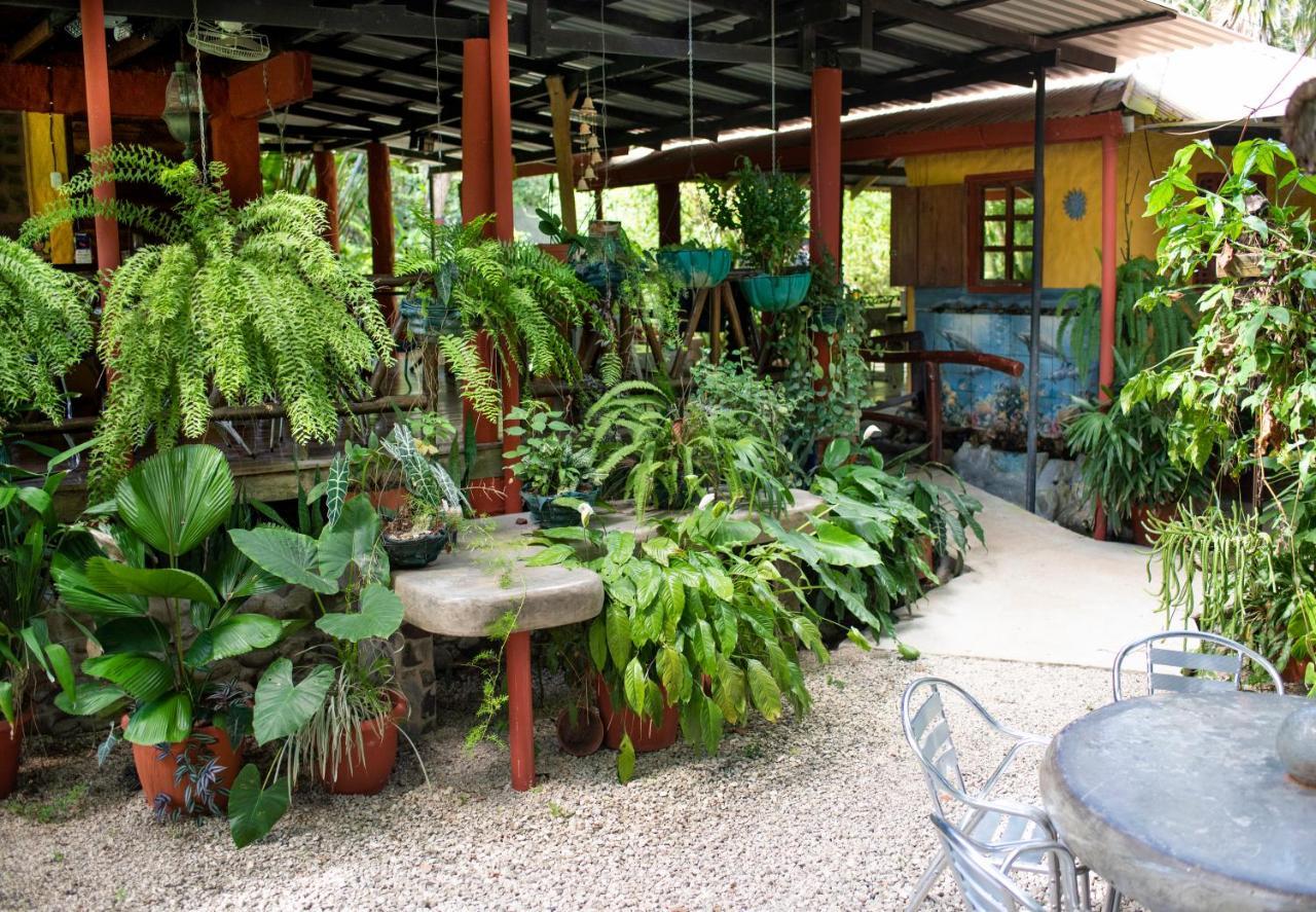 Coyote Rooms Cabuya  Екстер'єр фото